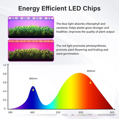 Vista 5 de iPower Luces LED de cultivo de 40 W con tiras de luz de cultivo de plantas de espectro completo para plantas de interior con temporizador