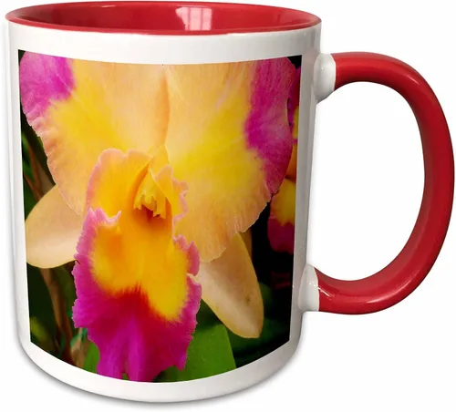 Vista 8 de 3dRose Florene Flores – Gorgeous Orquídea – Tazas, Negro/Blanco