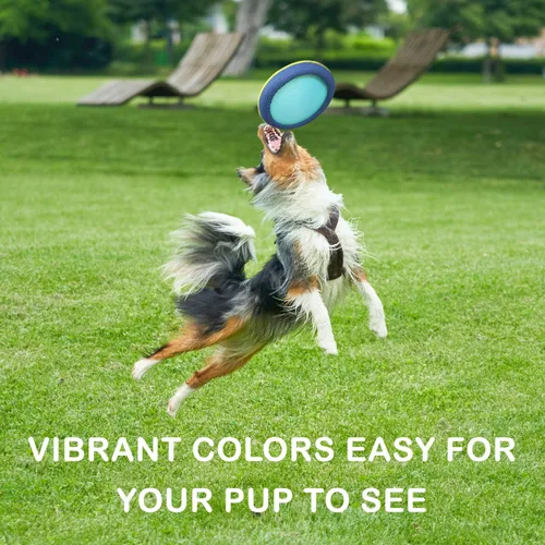 Vista 5 de Funsparks Easy Disk - Disco volador para perros – Juguete interactivo para perros – Duradero y fácil en los dientes – Fácil de tirar – Juguete