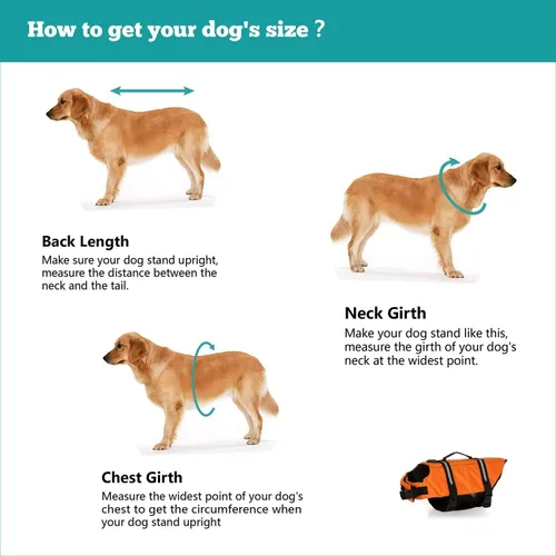 Vista 5 de HAOCOO - Chaleco salvavidas para perro, chaleco salvavidas, traje de baño de seguridad con rayas reflectantes/cinturón ajustable para perro.