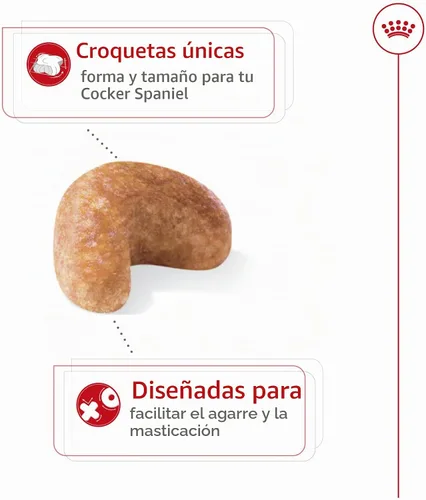 Vista 3 de ROYAL CANIN Cocker Spaniel Alimento seco para perros adultos, bolsa de 6
