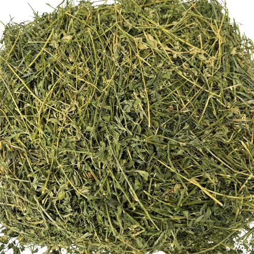 Vista 4 de Heno de alfalfa para conejos, cobayas, chinchillas, hámsters, jerbos y otros herbívoros pequeños. 12lb
