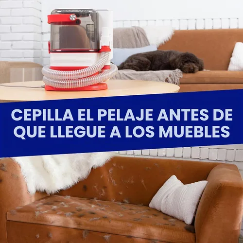 Vista 9 de ChomChom Roller Aspiradora para perros para aseo de pelos – Kit de aseo para perros con cepillo para perros, accesorio para aspiradora de cepillo