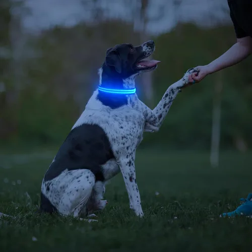 Vista 7 de Collar de perro con luz LED, recargable que brilla en la oscuridad, collar ajustable para perros pequeños (S, azul)