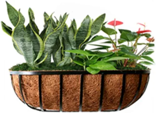 Vista 7 de Revestimientos para cesta de ventana de 30 pulgadas, preformado, revestimiento de coco y coco con tierra húmeda para cesta de ventana