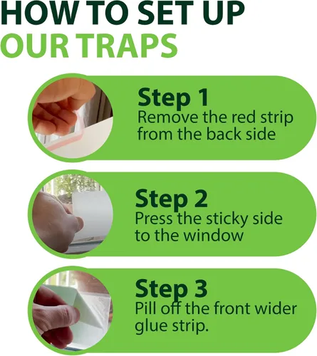 Vista 4 de Greenway - Trampas adhesivas para moscas de ventana, para mosquitos y moscas, control de moscas no tóxico, seguro para niños y mascotas, perfecto
