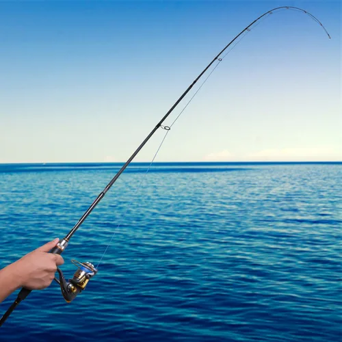 Vista 15 de Goture Cañas de Pescar de Viaje, Caña de Pescar de 4 Piezas con Estuche/Bolsa, Caña de Casting/Spinning, Caña Baitcasting Ultraligera de 7 Pies