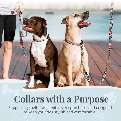Vista 7 de Lucky Love Dog - Collar para perras pequeñas, diseño Blackbird de estampado alegre con flores de primavera y verano, talla XS Collar Blackbird