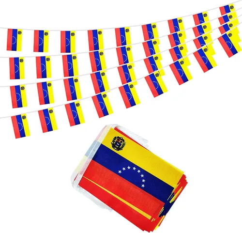 Vista 26 de Bandera argentina de 50 pies con cadena de bandera argentina, mini bandera argentina pequeña, para decoración de fiestas, tiendas y bares