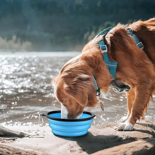 Vista 47 de COOYOO Cuenco plegable para perros, paquete de 2 cuencos plegables para agua para perros y gatos, plato portátil para alimentación de mascotas