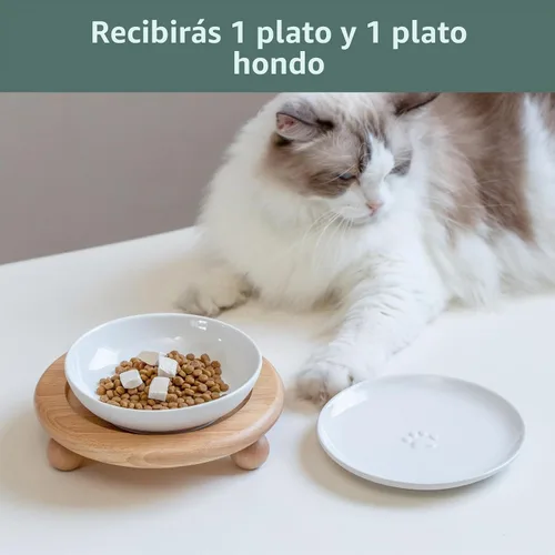 Vista 6 de Havniva Cuencos elevados para gatos, juego de cuencos de comida y agua para Blanco