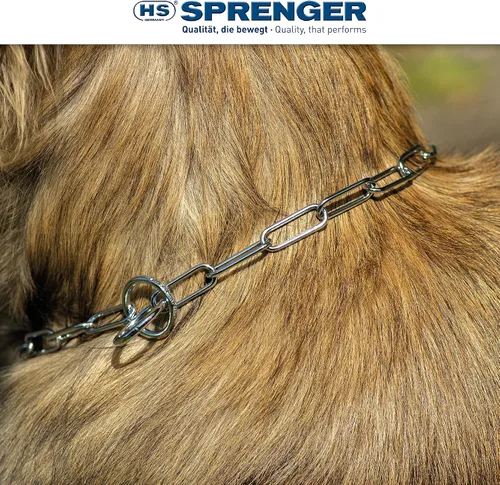 Vista 6 de Herm Sprenger - Collar de perro protector de piel de acero cromado - Enlace largo - Collar de entrenamiento profesional para perros pequeños