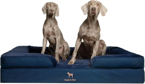 Vista 14 de NOAH & PAW Cama para perros pequeños, 20 x 15 x 8 pulgadas, cama para gatos de interior, espuma viscoelástica ortopédica de cáscara de huevo