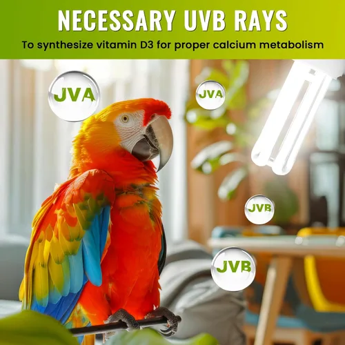 Vista 6 de DoRight Bombilla UVB 5.0 para pájaros, bombilla fluorescente compacta E26, UVB 5.0, bombilla compacta UVB para pájaros, jaula de pájaros, luz UVB