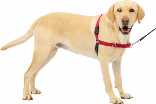 Vista 44 de PetSafe Easy Walk - Arnés para perro, sin tirones, gris carbón Carbón/Negro