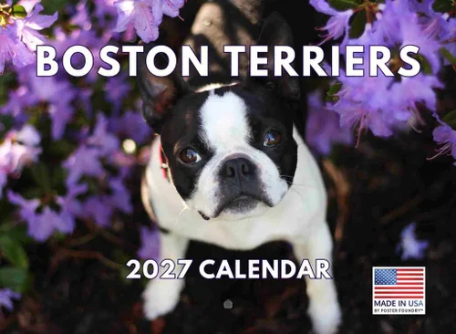 Vista 125 de Calendario mensual de pared Airedale Terrier Dog 2027