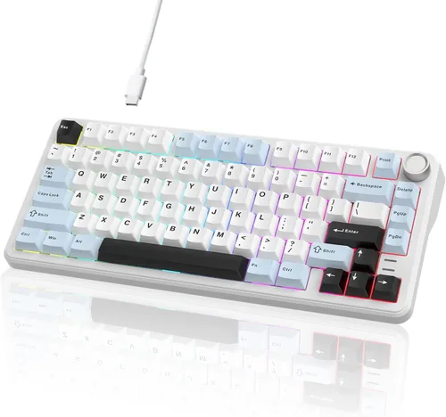 Vista 8 de 75% Teclado mecánico retro verde con cable intercambiable en caliente con perilla de metal Junta de montaje RGB retroiluminado programable y luz