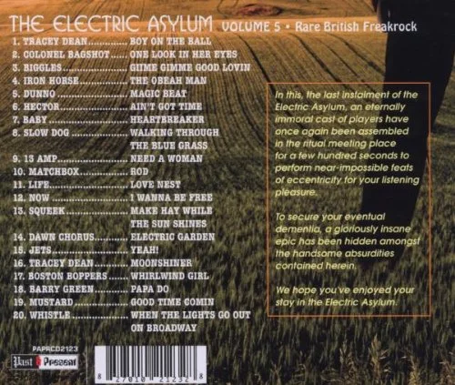 Vista 2 de Electric Asylum, Vol. 5 Rare British Freakrock