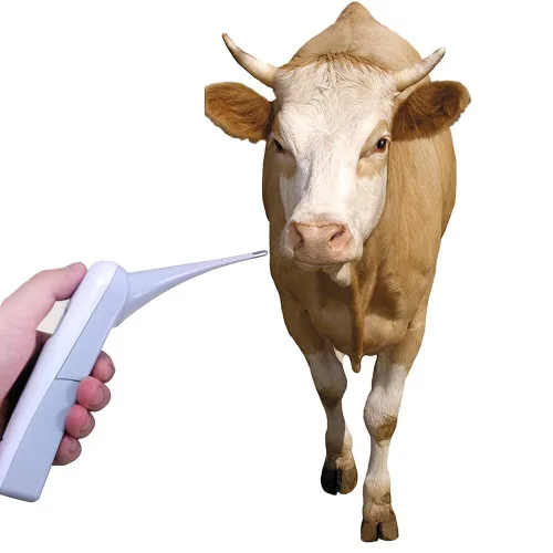 Vista 5 de Termómetro electrónico animal para mascotas Termómetro digital es un termómetro recto rápido para perros, caballos, gatos, cerdos, ovejas