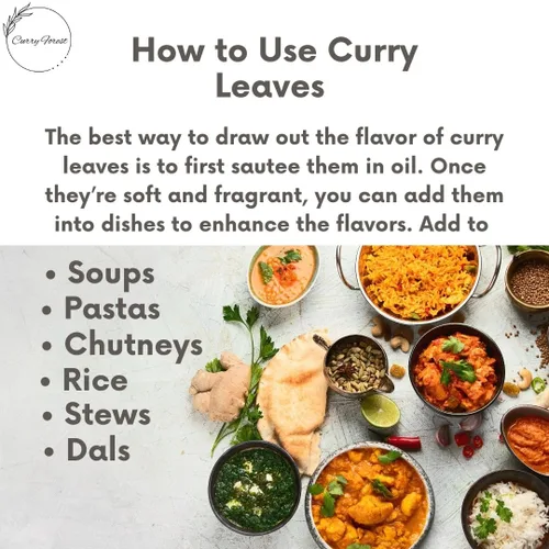 Vista 5 de CurryForest Hojas de curry secas de primera calidad, 100% naturales, sin pesticidas, cultivadas en Estados Unidos, secado al aire, 0.35-0.53 oz