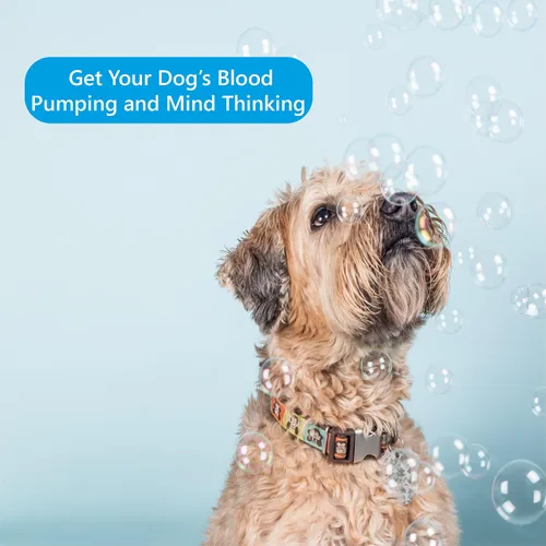 Vista 5 de Barkin' Good Bubbles - Juguete para perro, 9.5 onzas líquidas, solución natural de burbujas con aroma a tocino a base de plantas, ideal para jugar