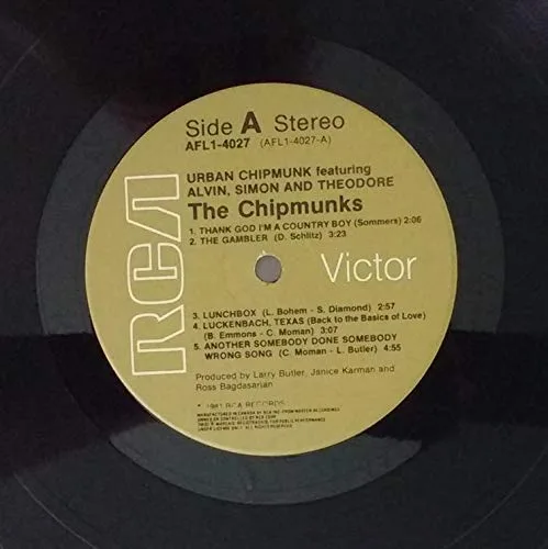 Vista 5 de Urban Chipmunk