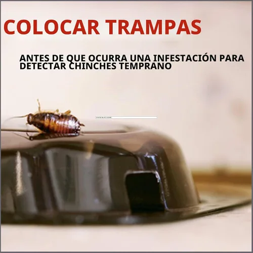 Vista 4 de Raid Detector y trampa de chinches de cama, para uso en interiores, 4