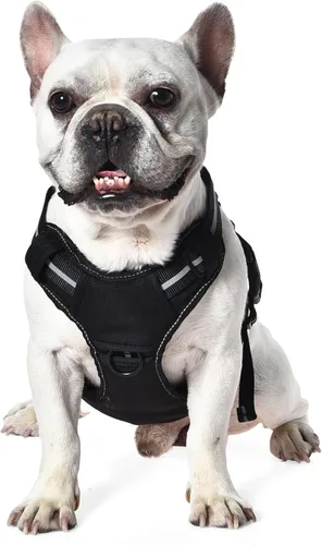 Vista 3 de Amazon Basics Arnés para perro sin tirones, clip frontal ajustable, chaleco táctico, pequeño, negro