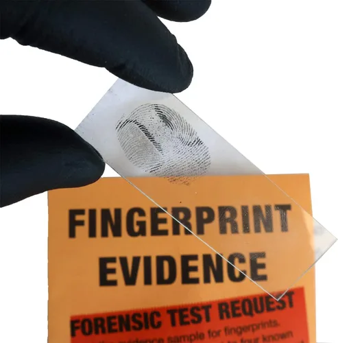 Vista 4 de Crime Scene Kit de ciencia forense: Resuelve el asesinato de Missy Hammond