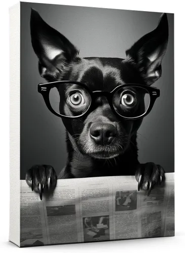 Vista 104 de Thuan Affenpinscher - Póster de lienzo con tus fotos, arte de pared para decoración del hogar, regalo conmemorativo para amantes de las mascotas