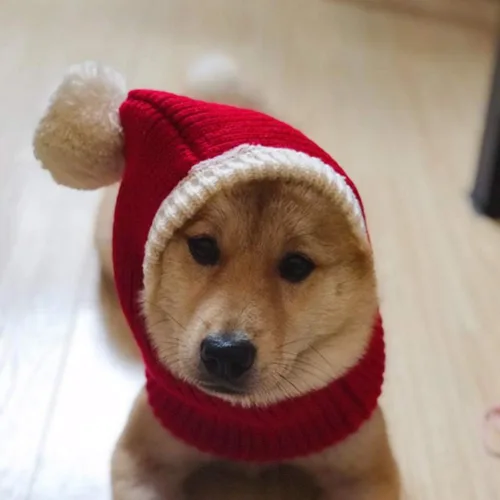 Vista 9 de POPETPOP Sombrero de Navidad para perro, cálido gorro de invierno para cachorros, grueso, pequeño, de punto, para gato, Navidad, diadema, ropa