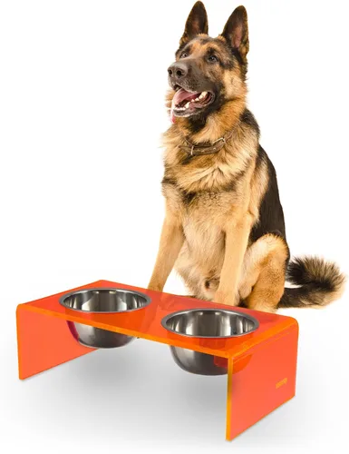 Vista 13 de DBL2000B Keaton - Comedero rectangular elevado moderno de lucita para mascotas de 5 pulgadas, tamaño pequeño/mediano, con 2 cuencos de acero