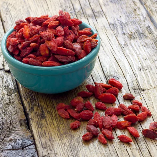 Vista 3 de 2 plantas vivas de Goji, planta de bayas perennes, 6-8 pulgadas de alto