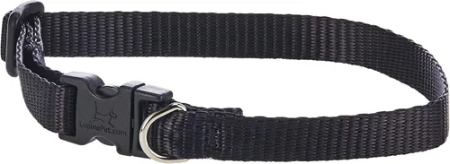 Vista 12 de LupinePet Basics - Collar ajustable rojo de 1/2 pulgadas, 10-16 pulgadas, para perros pequeños