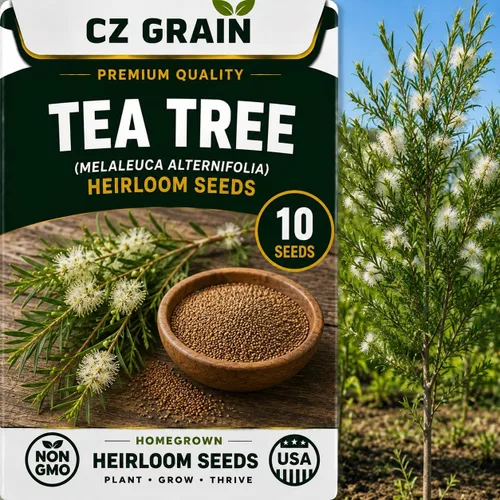 Vista 36 de CZ Grain Semillas para plantar, 40 pequeñas mezclas de calabaza