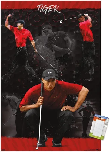 Vista 12 de Trends International Tiger Woods - Póster de pared de bosquejo, 14.725 x 22.375 pulgadas, versión enmarcada de madera de granero