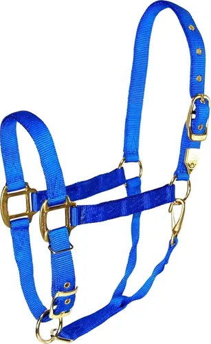 Vista 16 de Hamilton, Halter de 1 pulgada con barbilla ajustable, azul baya, 800-1100 libras