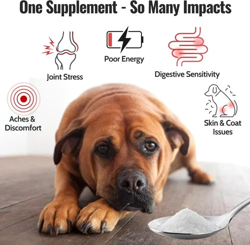 Vista 2 de MSM puro para perros y gatos Cristales MSM 99.9% puros Azufre orgánico para apoyo articular, movilidad, piel y pelaje 100% libre de aditivos