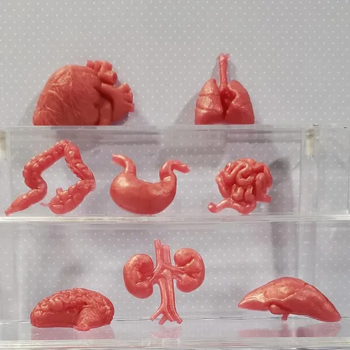 Vista 4 de Moldes de silicona con forma de órganos humanos, 8 unidades, molde de silicona para cerebro y corazón, para hígado, pulmón intestinal, chocolate