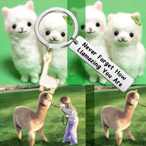 Vista 6 de FOTAP Llama Gift Never Forget How Llamazing You are Llavero Be Llamazing Cute Alpaca para mujeres Alpaca Regalos Animal Lover Regalo