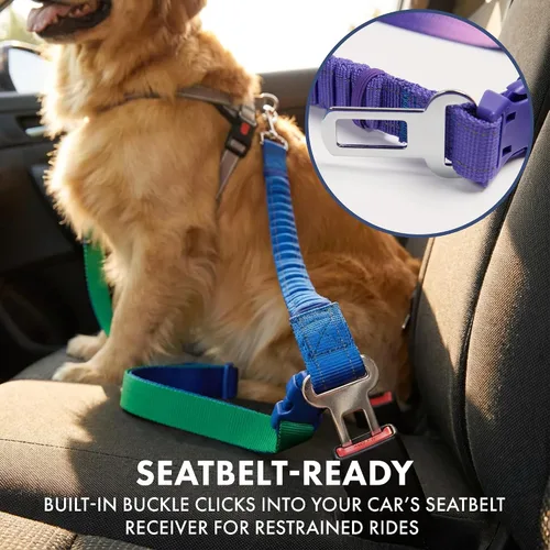 Vista 4 de Spark Paws - Correa de perro manos libres, correa elástica para la cintura que absorbe los golpes para correr, clip para cinturón de seguridad