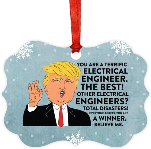 Vista 142 de Andaz Press Presidente Donald Trump Fancy Frame Recuerdo Adorno de Navidad Regalo de broma Ejecutivo de Cuenta, 1 paquete, Divertidas Ideas