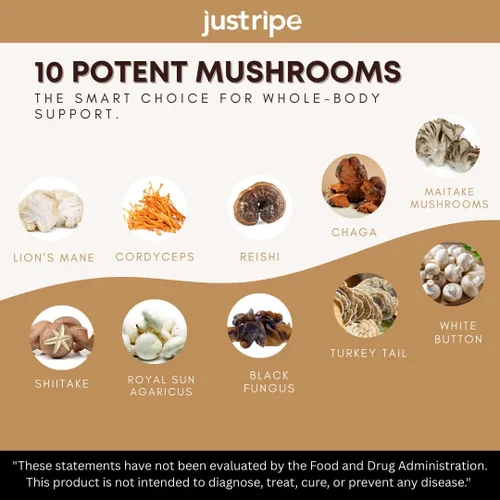 Vista 3 de Reishi, Cordyceps, melena de león y shiitake, refuerzo del sistema inmunológico y suplemento cerebral nootrópico, mejora la memoria