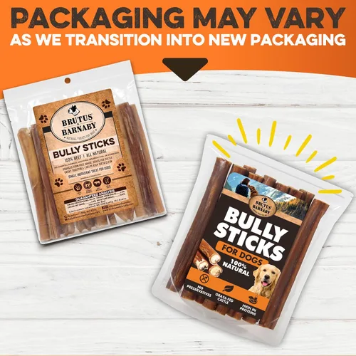 Vista 8 de BRUTUS & BARNABY Bully Sticks para Perros, 6" – Bajo a Sin Olor, Alimentados con Pasto, Masticables Sin Cuero Crudo para Masticadores Agresivos