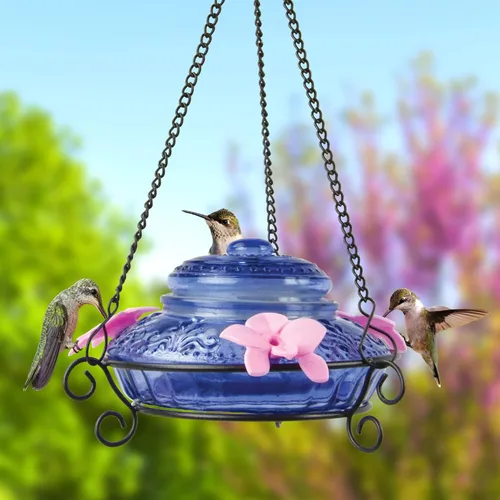 Vista 2 de Nature's Way Bird Products ANTHF2-I - Comedero iluminado, antiguo para colibríes, color azul claro/rosa