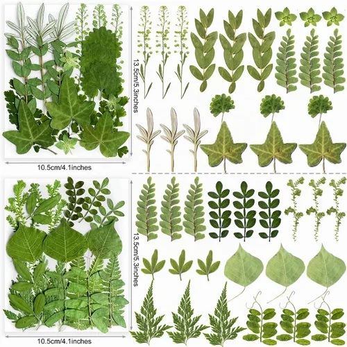 Vista 4 de 84Pcs Real Natural Dried Pressed Flowers & Green Leaves for DIY Crafts, Resin, Scrapbooking, Frame Decor + 4 Packs + Tweezers
