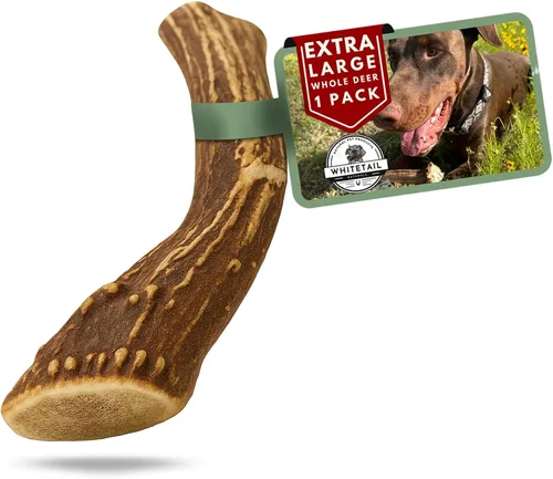 Vista 18 de WhiteTail Naturals - Cuernos de ciervo para perros pequeños (paquete de 12) cuernos masticables naturales para cachorros y pequeños masticadores