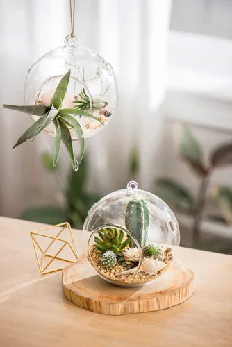 Vista 2 de Mkono Paquete de 5 macetas de vidrio colgantes para plantas de aire, decoración de terrario para suculentas, Tillandsia, portavelas