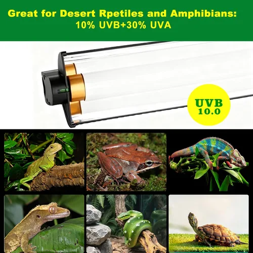 Vista 4 de Kit de iluminación T5 HO UVB, campana de terrario de 8 W con reflector curvado desmontable, lámpara Desert 10.0 UVB T5 (8 vatios)
