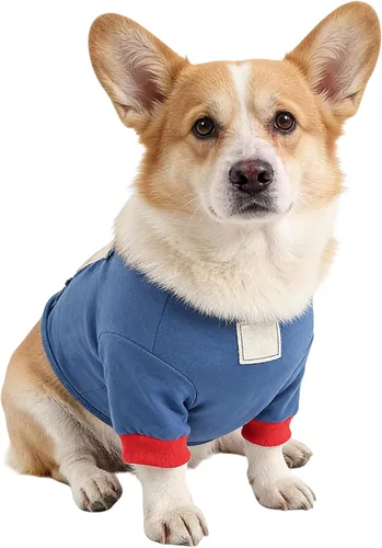 Vista 9 de Adjustable Dog Elbow Pads - Soft Washable Leg Protection, Anti-Licking Wound with Secure Strap, Knee Wrap with Breathable Material, Pet Bandage